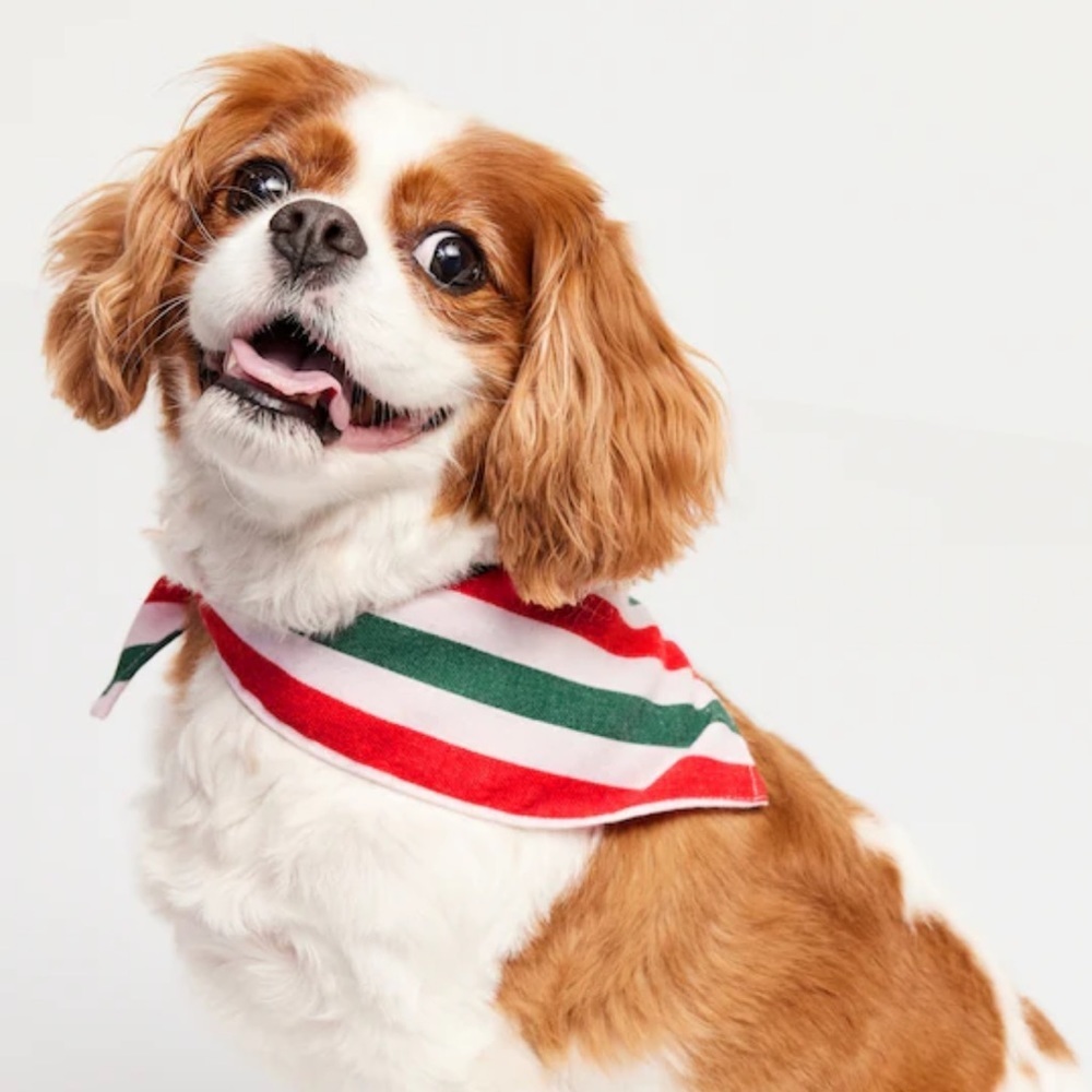 Patterned Bandana for Pets - Picture 2 of 4